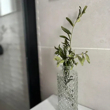 아파트호텔 Victrixhomes 레온