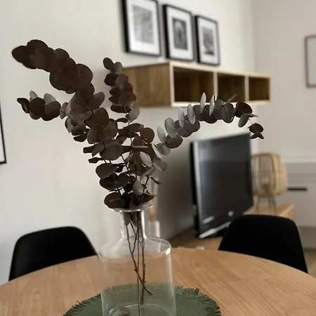 Victrix Homes 레온