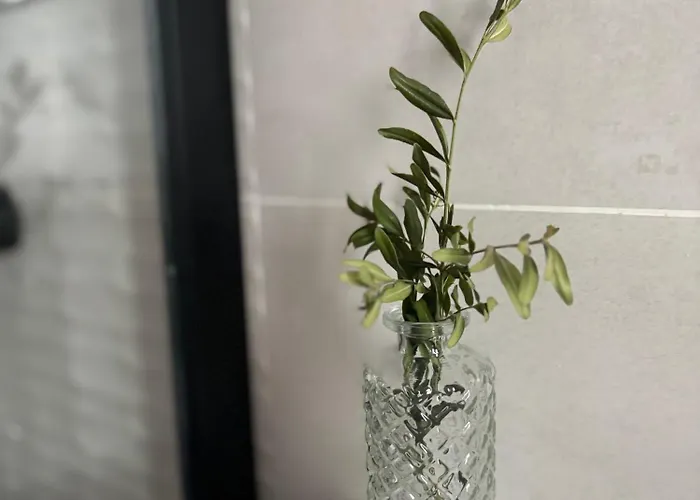 아파트호텔 Victrix Homes 레온