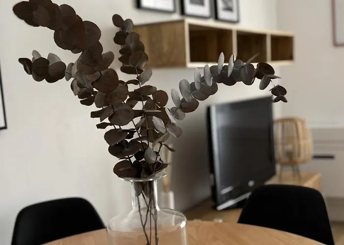 Victrix Homes 레온